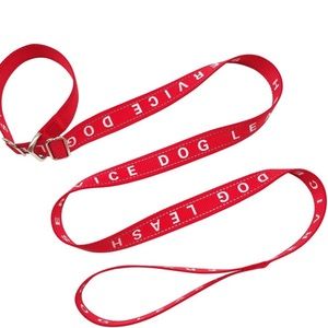 BTINESFUL 5FT No-Choking Slip Lead Service Dog Leash, Reflective Nylon